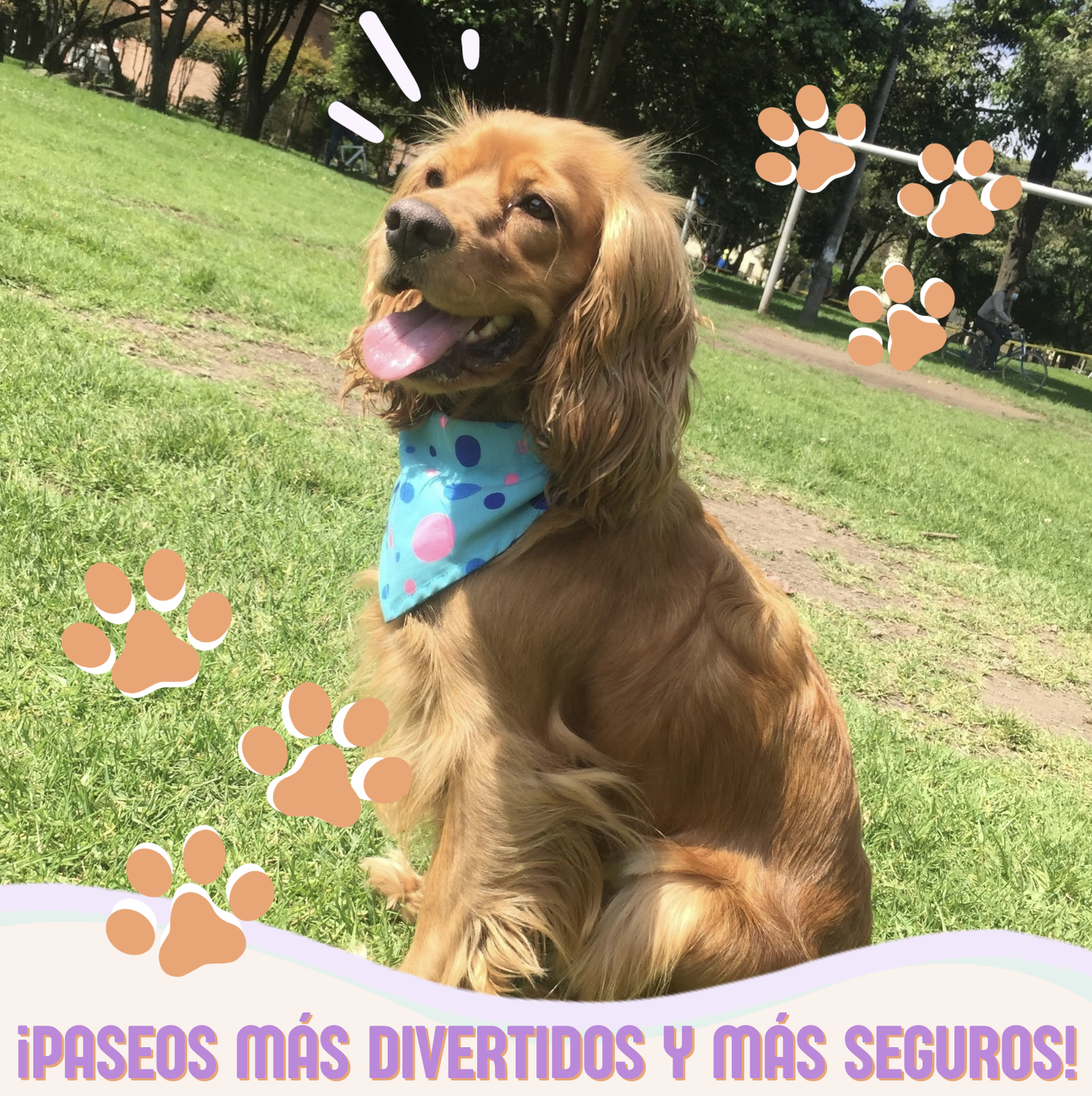 Paseos divertidos y seguros