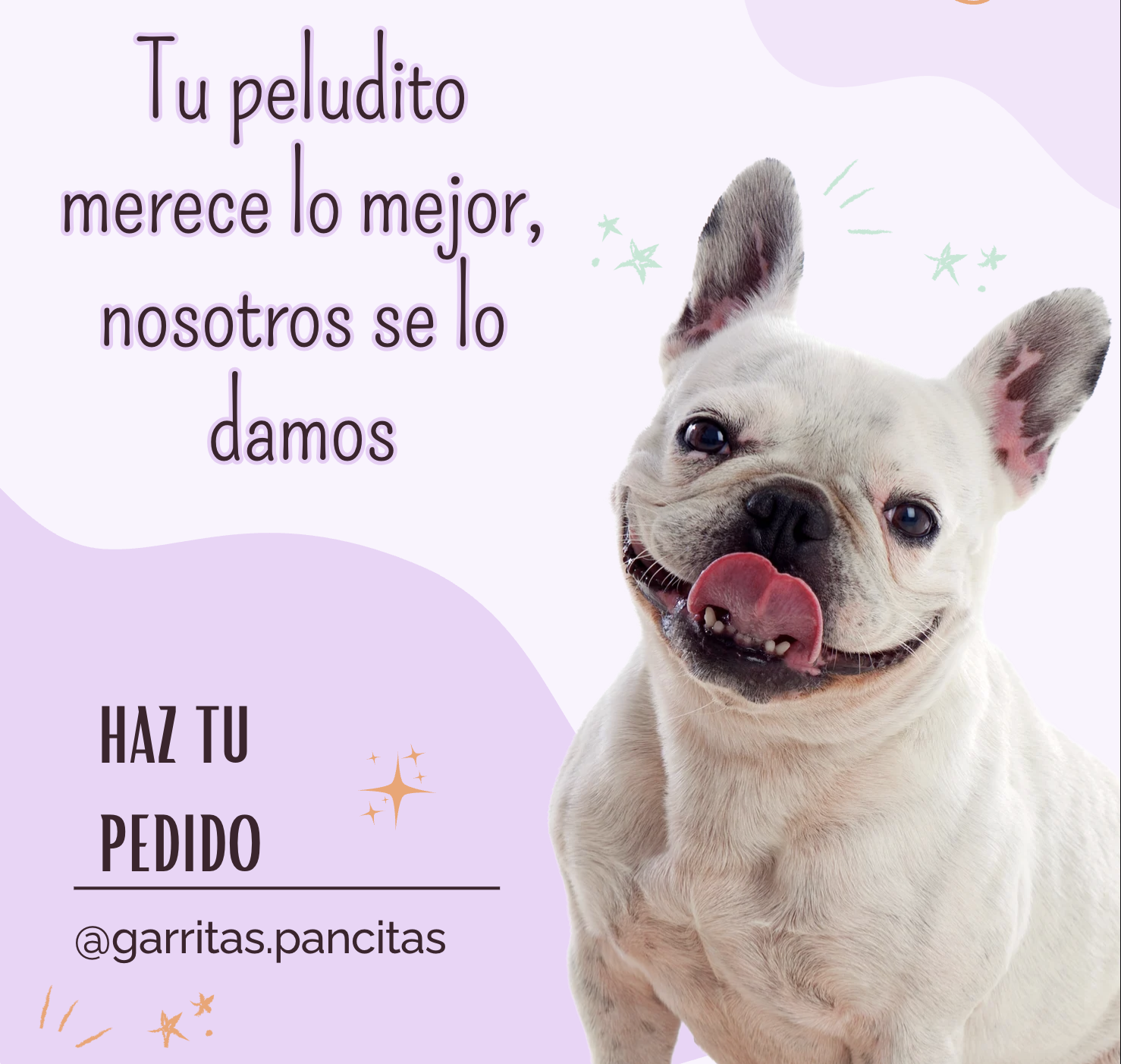 Tu peludito merece lo mejor